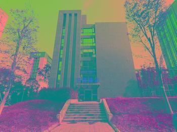 Wangsu Business Hotel Binjiang Kültér fotó
